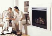 dimplex electric fireplace insert.
